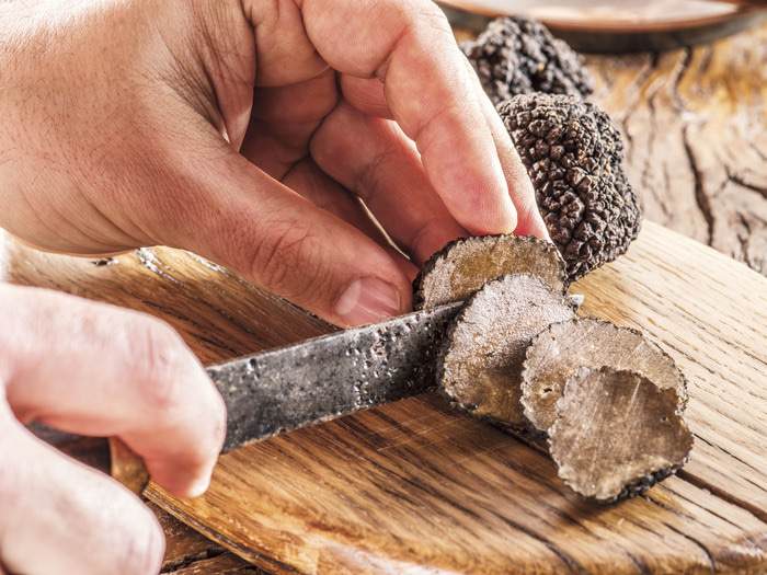 Scenic Luxury Cruises & Tours Scenic Freechoice 2.jpg